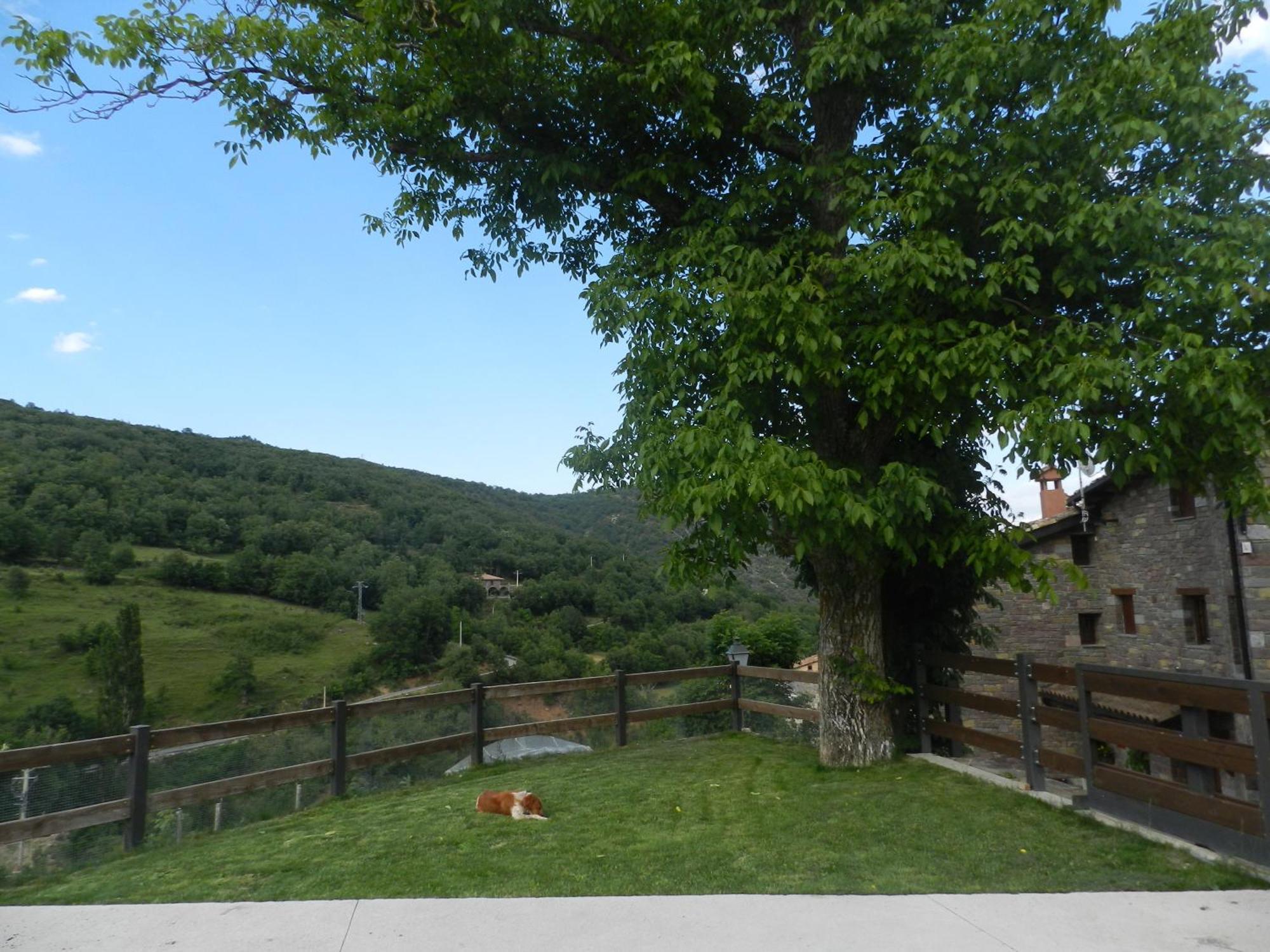 Apartaments El Tossalet Bonansa ภายนอก รูปภาพ